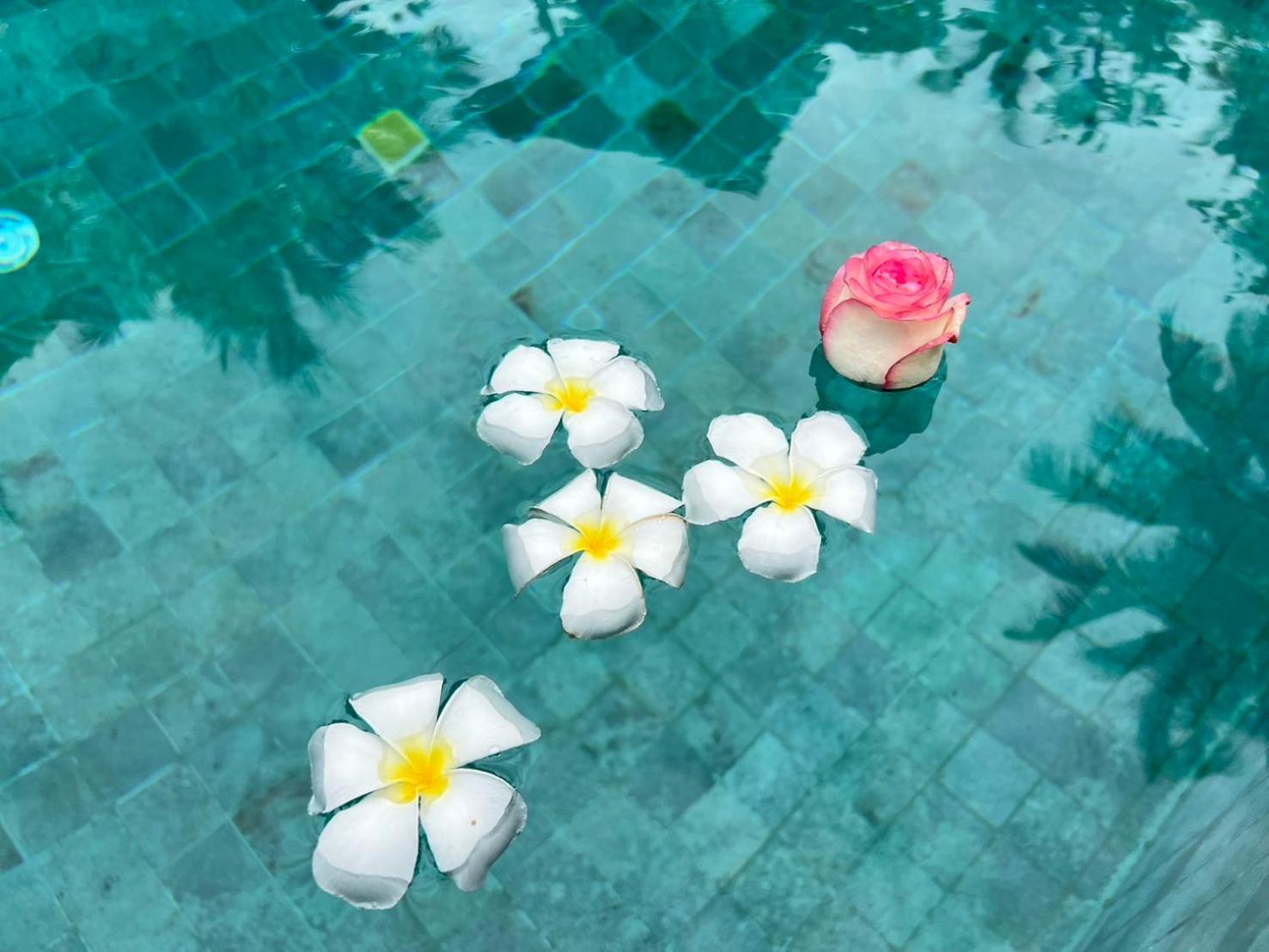 Chill Lay Resort Donsak Don Sak Exterior foto